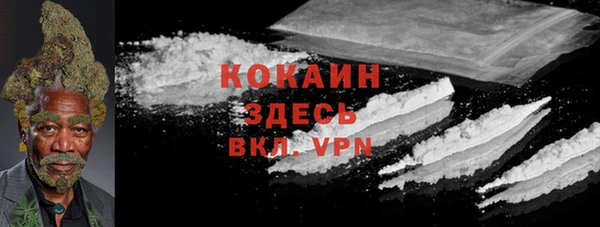 индика Балахна