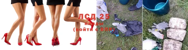индика Балахна