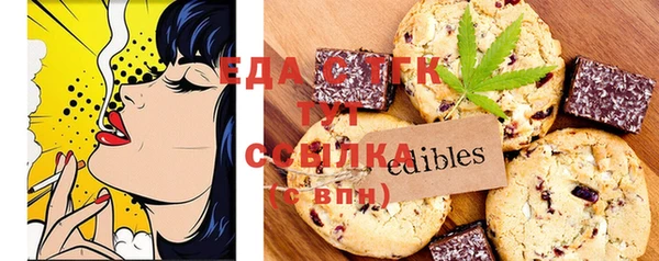 индика Балахна