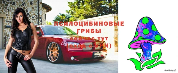 скорость Баксан