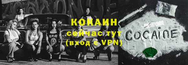 индика Балахна