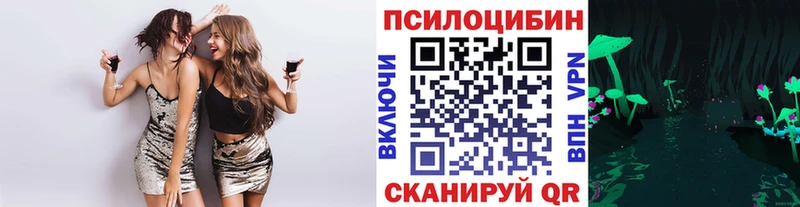 Псилоцибиновые грибы мицелий  Салаир 